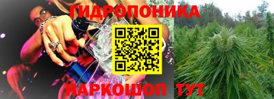 Альфа ПВП Новозыбков