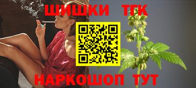 сатива Новокубанск