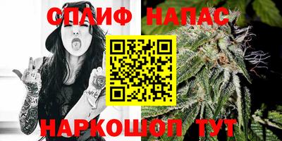 Альфа ПВП Новозыбков