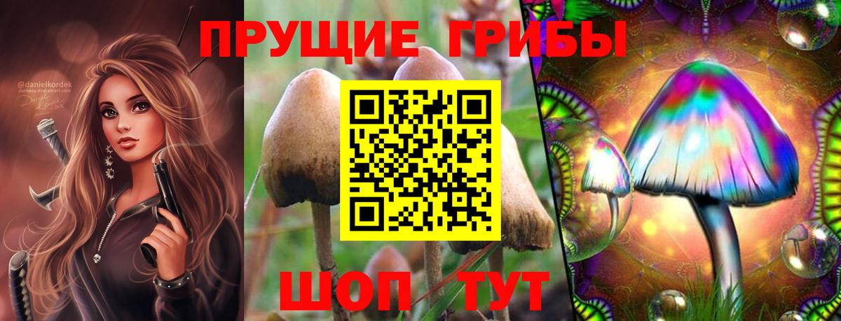 Галлюциногенные грибы прущие грибы Родники