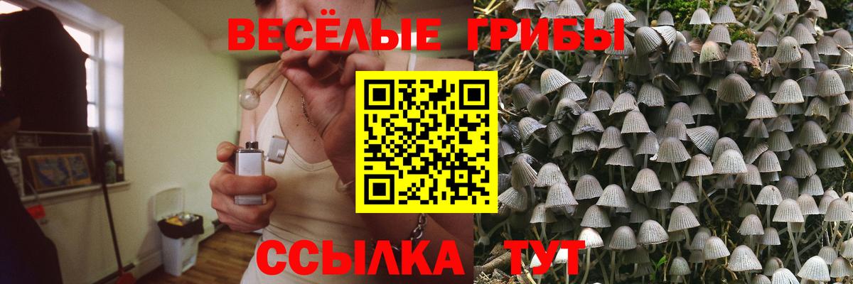 Родники  Псилоцибиновые грибы ЛСД  Вход с VPN  Псилоцибиновые грибы прущие грибы 